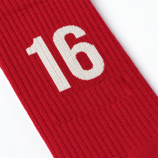 Calzini Charles Leclerc 16, rosso racing
